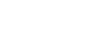 White logo with the Bunnyhug Smbol